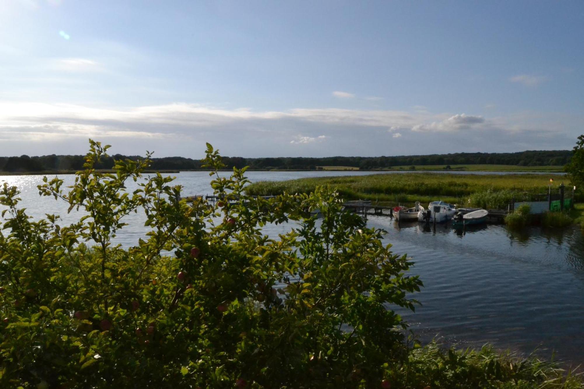 Bungalow Am Wreecher See Путбус Екстериор снимка